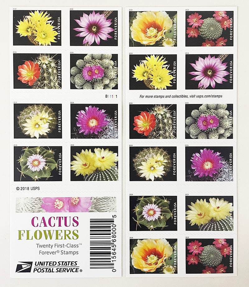 Cactus Flowers Forever First Class Postage Stamps image 0