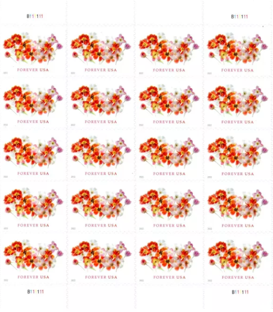 Tulips Forever First Class Postage Stamps image 0