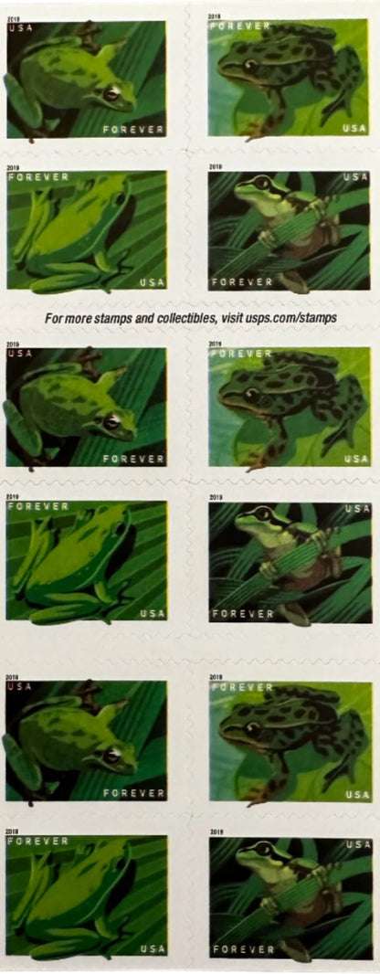 USPS Frogs Forever First Class Postage Stamps image 2